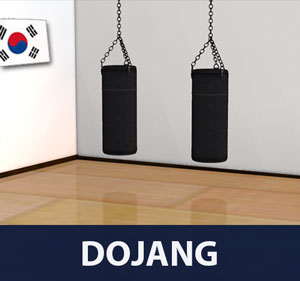 Dojang is a term used in Korean martial arts, such as taekwondo, Kuk Sool Won, and hapkido, that refers to a formal training hall