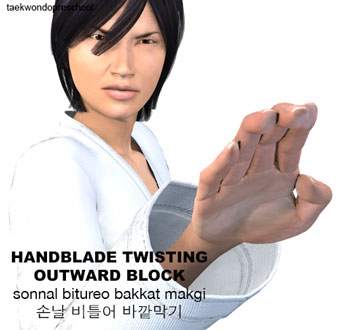 Hand Blade Twisting Outward Block ( 손날 비틀어 바깥막기 Sonnal bitureo bakkat makgi )