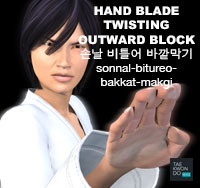 Hand Blade Twisting Outward Block ( 손날 비틀어 바깥막기 sonnal-bitureo-bakkat-makgi )