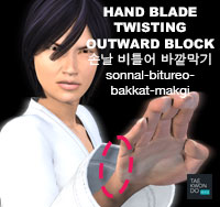 Hand Blade Twisting Outward Block ( 손날 비틀어 바깥막기 sonnal-bitureo-bakkat-makgi )