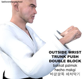 Outside Wrist Double Block ( 바깥팔목 헤쳐막기 bakkat palmok hecho makgi )