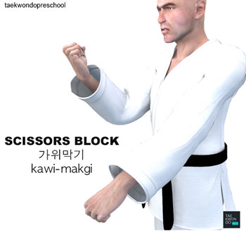 Scissors Block ( 가위막기 Kawi makgi )