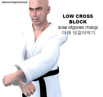 Low Cross Block ( 아래 엇걸어막기 arae-otgoreo-makgi )