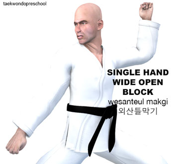 Single Hand Wide Open Blocking ( 외산틀막기 wesanteul makgi )