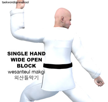 Single Hand Wide Open Blocking ( 외산틀막기 wesanteul-makgi )