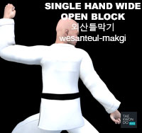 Single Hand Wide Open Block ( 외산틀막기 wesanteul-makgi )