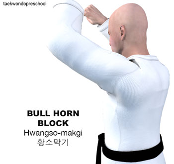 Bull Horn Blocking ( 황소막기 Hwangso-makgi )