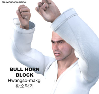 Bull Horn Blocking ( 황소막기 hwangso-makgi )