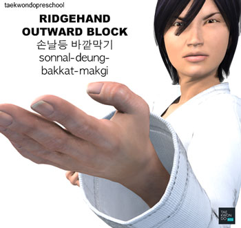 Ridgehand Outward Block ( 손날등 바깥막기 sonnal-deung-bakkat-makgi )