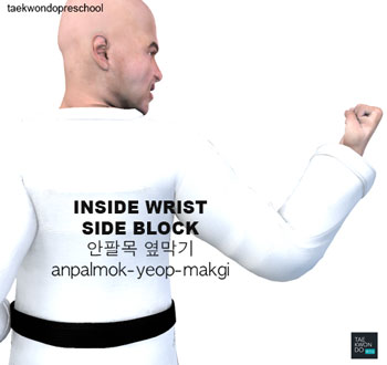 Inside Wrist Side Block ( 안팔목 옆막기 anpalmok-yeop-makgi )