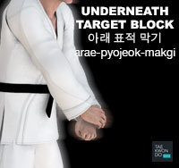 Underneath Target Block ( 아래 표적 막기 arae-pyojeok-makgi )