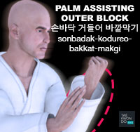 Palm Assisting Outer Block ( 손바닥 거들어 바깥막기 sonbadak-kodureo-bakkat-makgi )