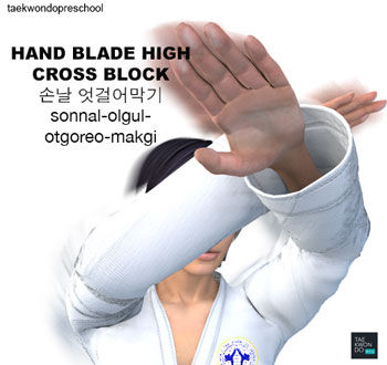 Hand Blade High Cross Block ( 손날 엇걸어막기 sonnal olgul otgoreo makgi )