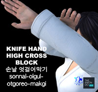 Hand Blade High Cross Block ( 손날 엇걸어막기 sonnal-olgul-otgoreo-makgi )