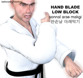 Hand Blade Low Block ( 한손날 아래막기 sonnal arae makgi )