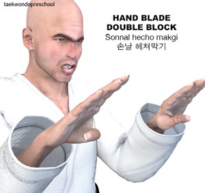 Hand Blade Double Block ( 손날 헤쳐막기 sonnal hecho makgi )