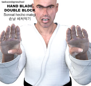 Hand Blade Double Block ( 손날 헤쳐막기 sonnal hecho makgi )