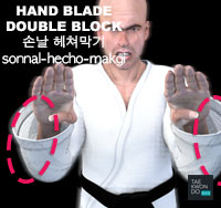 Hand Blade Double Block ( 손날 헤쳐막기 sonnal-hecho-makgi )