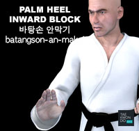 Palm Heel Inward Block ( 바탕손 안막기 batangson-an-makgi )