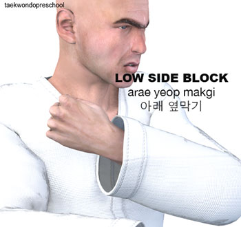 Low Side Block ( 아래 옆막기 arae-yeop-makgi )