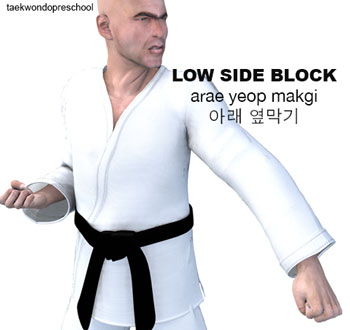 Low Side Block ( 아래 옆막기 arae-yeop-makgi )