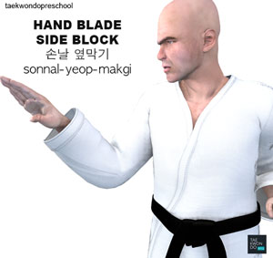 Hand Blade Side Block ( 손날 옆막기 sonnal-yeop-makgi )