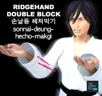 Ridgehand Double Block ( 손날등 헤쳐막기 sonnal-deung-hecho-makgi )