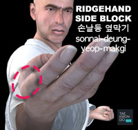 Ridgehand Side Block ( 손날등 옆막기 sonnal-deung-yeop-makgi )