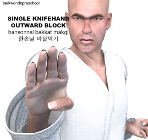 Single Knife Hand Outward Block ( 한손날 바깥막기 hansonnal bakkat makgi )