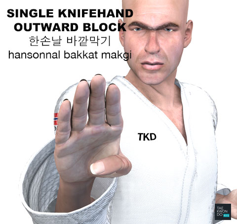 Single Knife Hand Outward Block ( 한손날 바깥막기 hansonnal-bakkat-makgi )