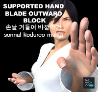 Supported Hand Blade Outward Block ( 손날 거들어 바깥막기 sonnal-kodureo-makgi )