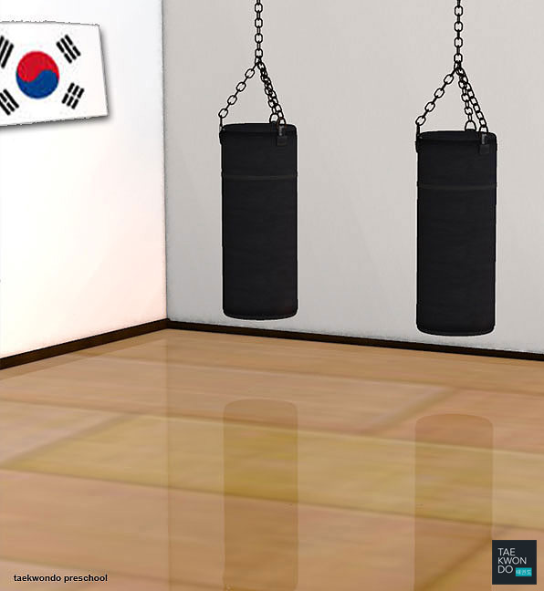 Training Hall ( 도장 dojang )