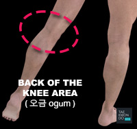 Back of the Knee ( 오금 ogum )