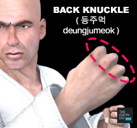 Back Knuckle ( 등주먹 deung-jumeok )