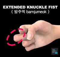 Extended Knuckle Fist ( 밤주먹 bamjumeok )
