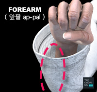 Forearm ( 앞팔 ap-pal )