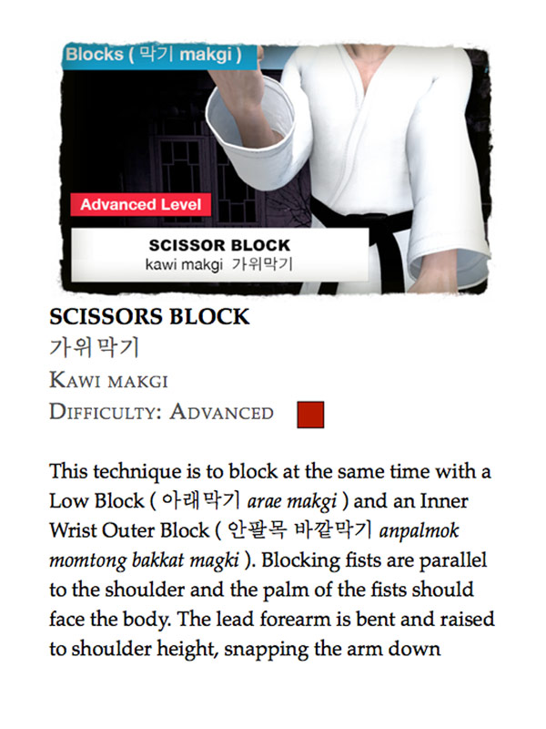 Taekwondo Blocks ( 막기 makgi )