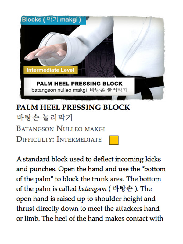 Taekwondo Blocks ( 막기 makgi ) Book
