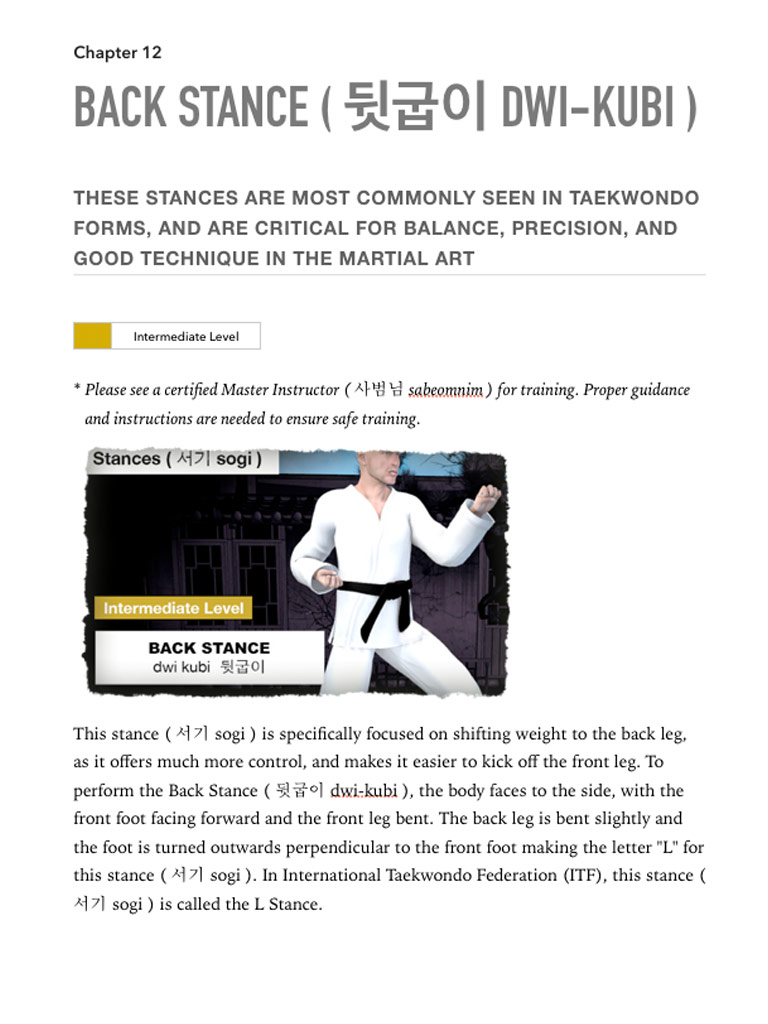 Taekwondo Stances ( 서기 sogi ) Book