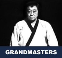 Taekwondo Grandmasters