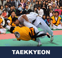 Taekkyeon 택견 Korean Martial Arts 무술