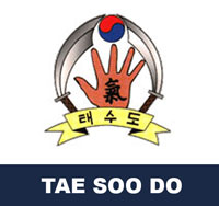 Tae Soo Do 태수도 Korean Martial Arts 무술
