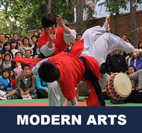Modern Korean Martial Arts 무술