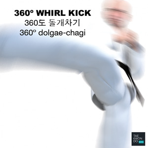 Whirl Kick 360º ( 360도 돌개차기 360º dolgae-chagi )