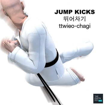 Jump Kicks ( 뛰어차기 ttwieo-chagi )