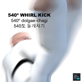 540º Whirl Kick ( 540도 돌개차기 / 540º dolgae-chagi )