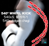 540º Whirl Kick ( 540도 돌개차기 540º dolgae-chagi )