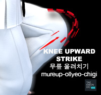 Knee Upward Strike ( 무릎 올려치기 mureup-ollyeo-chigi )