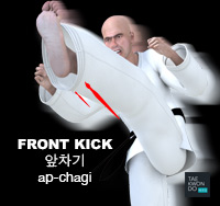 Front Kick ( 앞차기 ap-chagi )