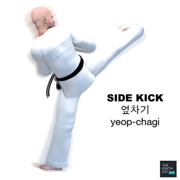 Side Kick ( 옆차기 yeop-chagi )